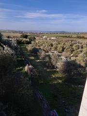 Masia a Algar. Finca rúst. en venta en algar.