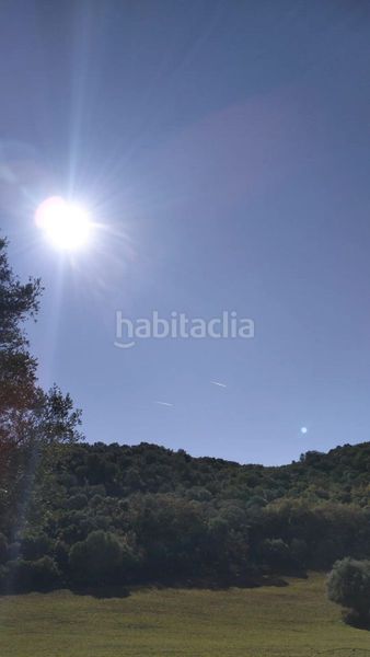 Foto 67bb29cd-c918-4686-88d5-cebdc41508da. Masia a Bosque (El)