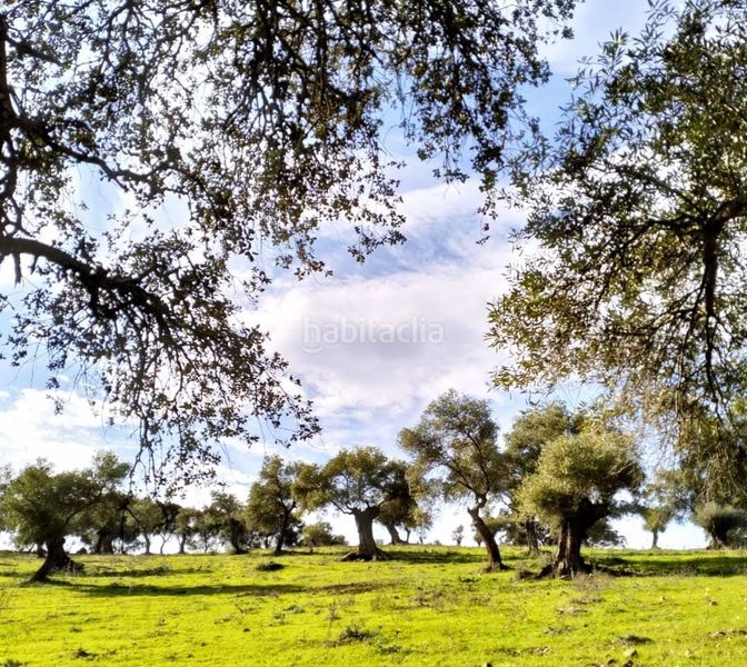 Foto 6eaa4636-251a-4ebd-9cee-e5c79e474676. Masia a Bosque (El)