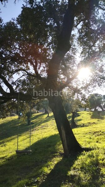 Foto a68f88f2-1d1f-40e3-9b64-83f3250ea2a0. Masia a Bosque (El)