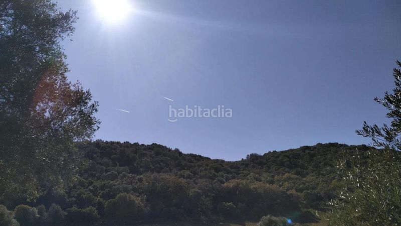 Foto b45e4fe3-dfde-4af0-ad0a-6de38002cab0. Masia a Bosque (El)