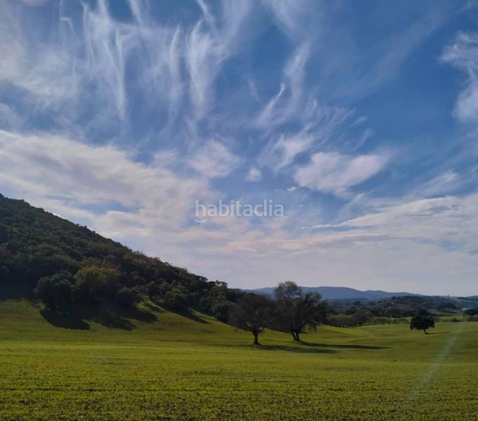 Foto e2927114-fa7d-48f9-b57c-d18657e394a4. Masia a Bosque (El)