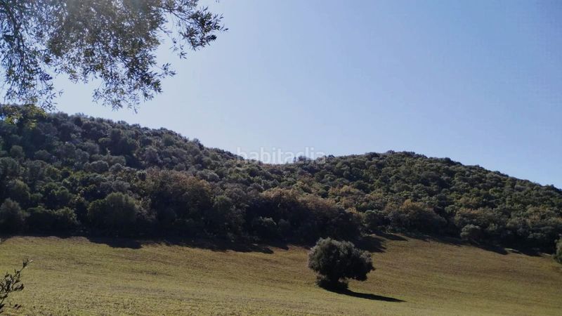 Foto e4aa550d-894e-4a6a-9bcf-94d5f2d430e0. Masia a Bosque (El)