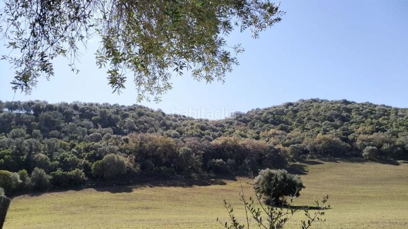 Foto e7d040aa-2192-4ba3-8f6a-63281cbcfd59. Masia a Bosque (El)