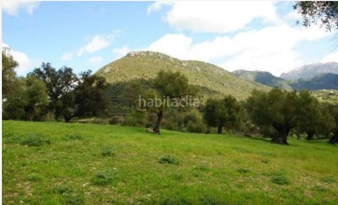 Foto ea117c0a-7907-4f06-946a-7687793cadc7. Masia a Bosque (El)