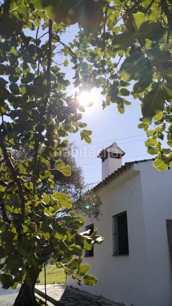 Foto f504ad39-a40e-483e-bb85-dfd03d103055. Masia a Bosque (El)