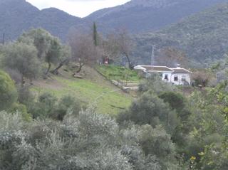Masia a Benaocaz. Finca rúst. en venta en benaocaz, 3 dormitorios.