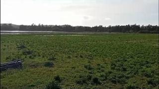 Residential Plot in Parque Atlántico - Ronda este. Finca rúst. en venta en jerez.