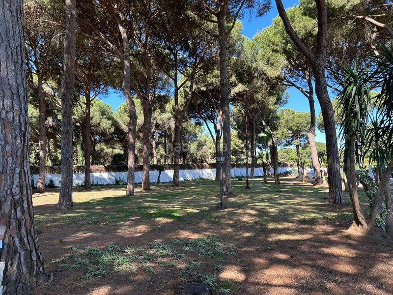 Foto 0d80180b-4ed1-4a77-ada0-ac85874f3192. Masia a Arcos de la Frontera