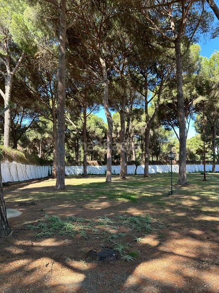 Foto 4fee43d9-0e3a-435b-b384-be9a1c156ce8. Masia a Arcos de la Frontera