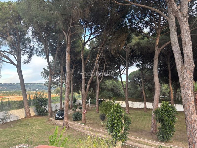 Foto 7fdf55c9-3c68-48e2-aea0-d89dd8da8505. Masia a Arcos de la Frontera