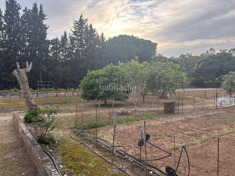 Foto 84d0ab8e-b172-4a1f-8705-0affe4c1505b. Masia a Arcos de la Frontera