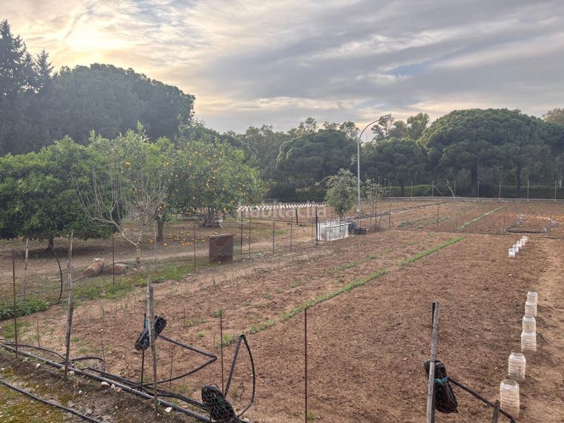 Foto 8d46ae7c-59d3-49dd-9616-d91d3d26fdff. Masia a Arcos de la Frontera