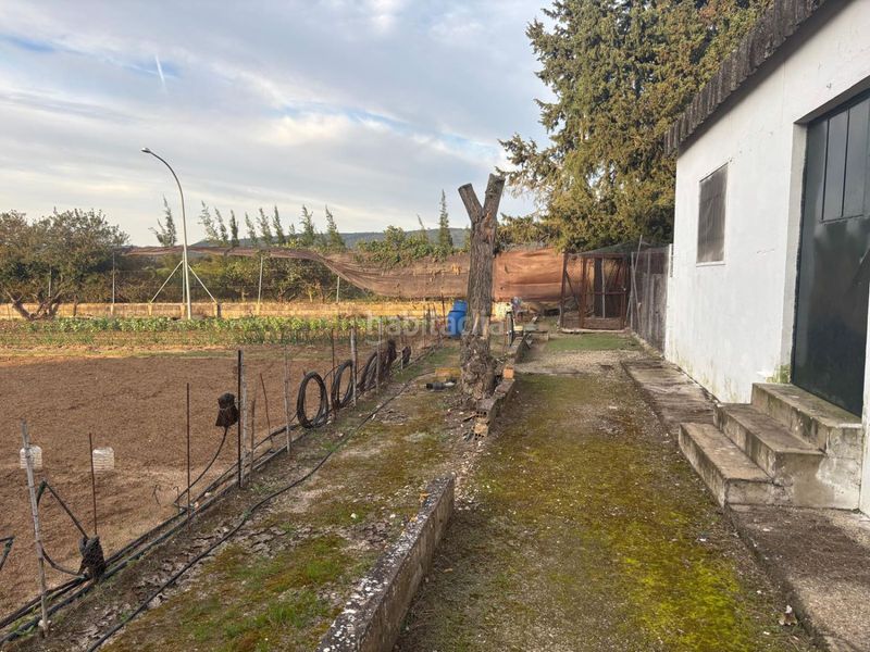 Foto f345bae8-ddf1-47d7-a153-94fc8407926e. Masia a Arcos de la Frontera