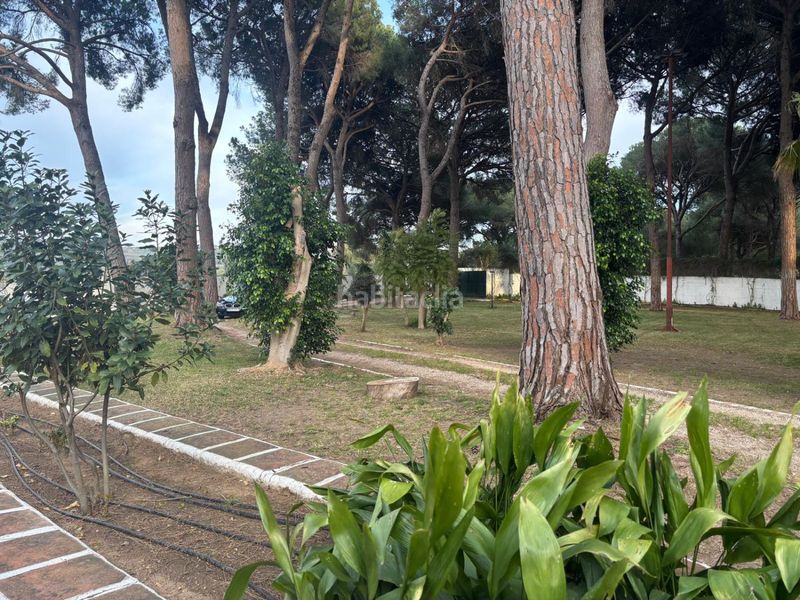 Foto f93e15af-1f42-461b-9a0d-296585c0a5b3. Masia a Arcos de la Frontera