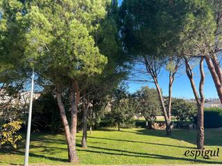 Finca rústica a Costa brava. Parcelas exclusivas con superficies entre los 500 y los 650 metr