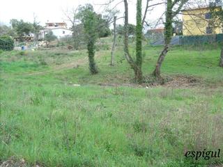 Finca rústica a Urgell amb carrer del ripollès. Parcela de 847 metros cuadrados ubicada en bescanó