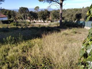 Fondo rustico in Girones 50. Terreno amplio en sils, ideal para tu futuro hogar