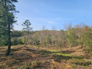 Finca rústica a Garrigues 18. Parcela urbana de 2400 m en mas llunes de bescanó