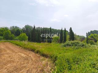 Finca rústica a De la creu de madona. Terreno ideal para viveros o agrícola