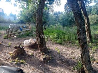 Fondo rustico  Carrer espliego. Parcela y casa de madera en can fornaca de riudarenes