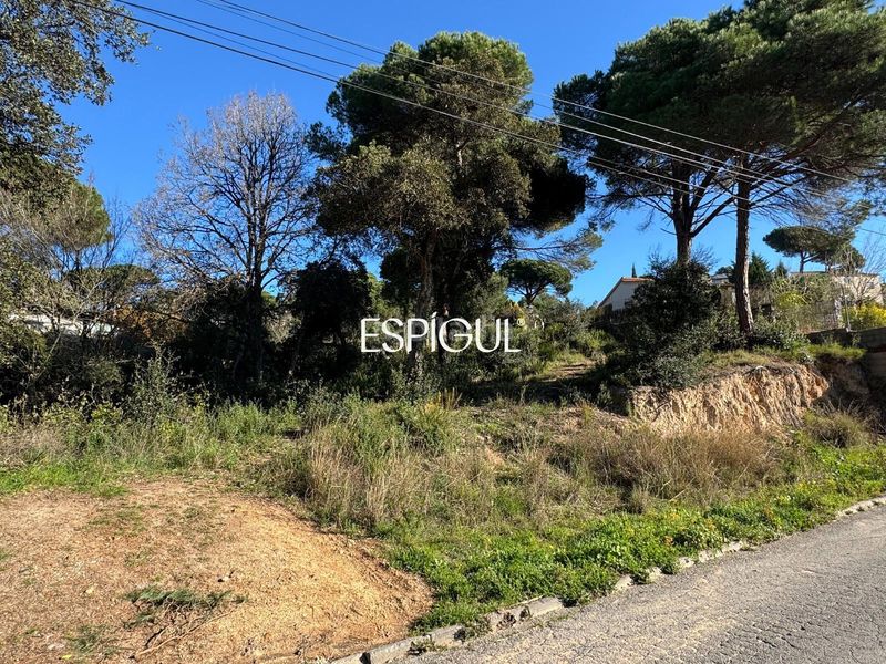 Foto 5fe27509-8826-49eb-b27d-45a27a0573c0. Finca rústica a Aiguaviva Parc Vidreres