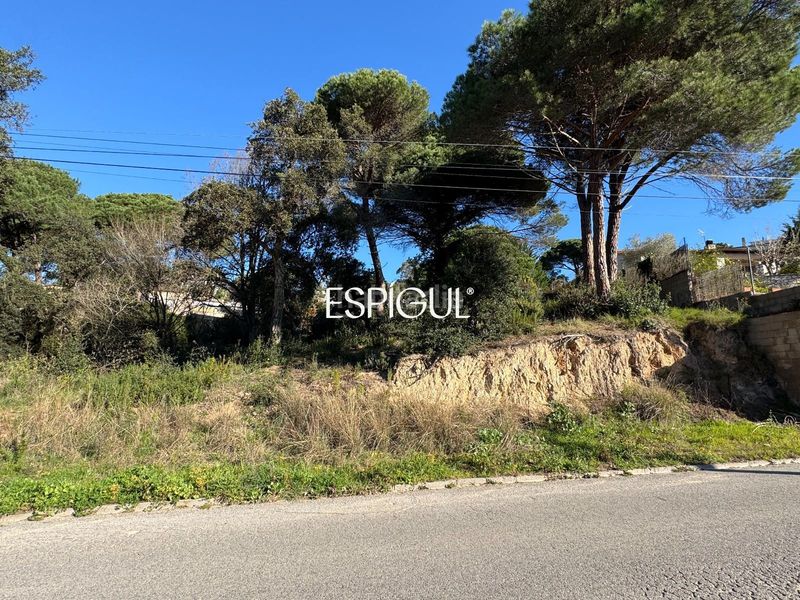 Foto d0264f4f-7178-4cdd-a965-2ed74d7e6e3a. Finca rústica a Aiguaviva Parc Vidreres