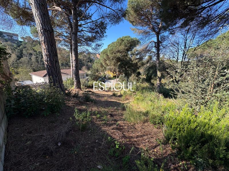 Foto e1c90504-f3cf-4ca3-a5d6-c82be3ac7143. Finca rústica a Aiguaviva Parc Vidreres
