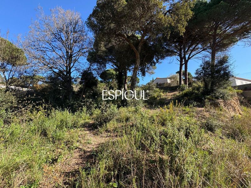 Foto f5d5011a-fb9e-466c-b248-d410a719c81f. Finca rústica a Aiguaviva Parc Vidreres