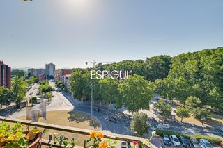 Pis  Figuerola. Oportunidad única en la devesa