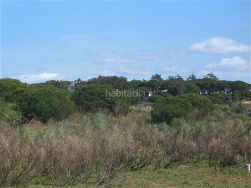 Foto 426e6138-f8d7-407c-a64a-51eb5c683ce4. Terreno residenziale in El Rompido