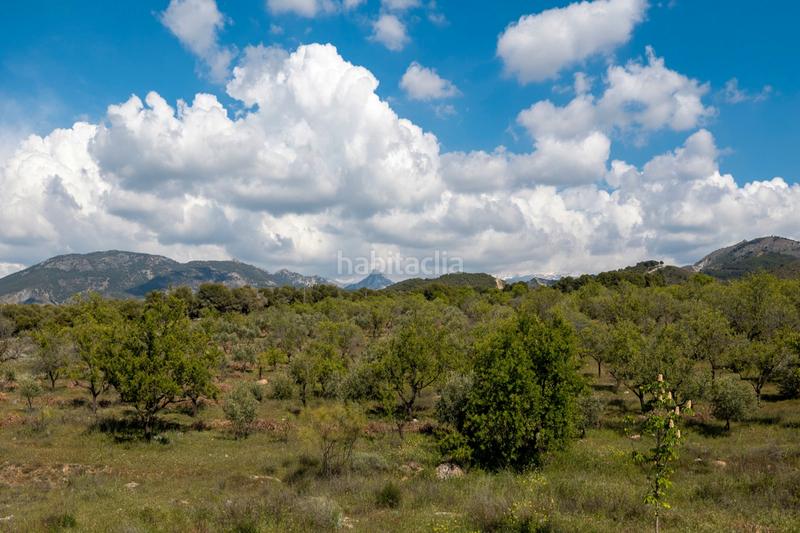 Foto 4023cc48-e99f-45e6-a8e5-93fb13d328b2. Xalet amb calefacció aparcament piscina a Altos de la Zubia Zubia (La)