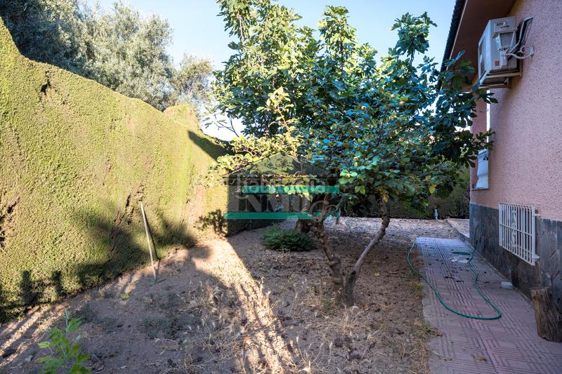 Foto 9368fe7d-d0a4-4082-943f-d7d59895adfe. Lloguer xalet a calle santa isabel 44 a Residencial Triana - Barrio Alto Gabias (Las)