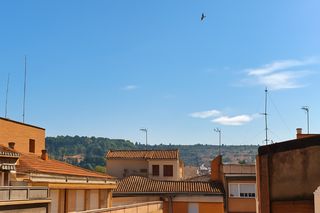 Attico in Calle Azhuma 26