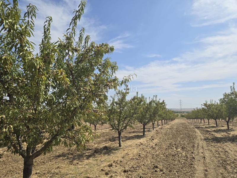 Foto 2c176591-7d04-4b01-aa87-69b2acd87b2a. Finca rústica terreno en venta ( toledo) en Recas