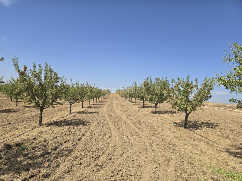 Foto 4d6278bc-1f80-493a-8e8a-9fd01fd788c7. Finca rústica terreno en venta ( toledo) en Recas