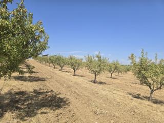 Propriété à Recas. Terreno en venta en recas ( toledo)