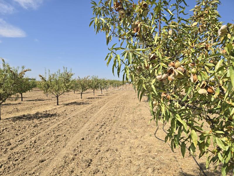Foto 847873ae-35b6-43d6-b3a3-01355440e47e. Finca rústica terreno en venta ( toledo) en Recas
