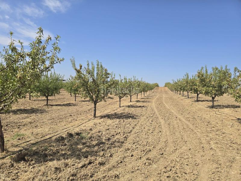 Foto 86522fb9-6f2f-4f1e-8687-33f5b1e258cf. Finca rústica terreno en venta ( toledo) en Recas