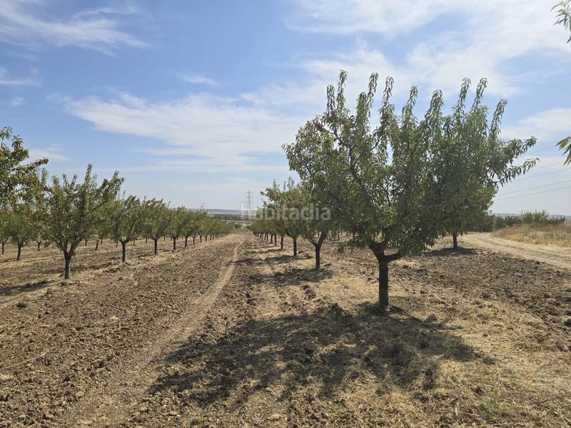 Foto 8d371963-76c7-4cc5-868c-b2518f925e24. Finca rústica terreno en venta ( toledo) en Recas