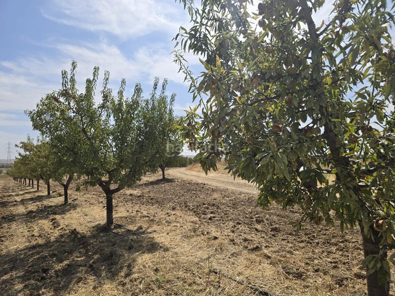 Foto c4a4df3b-ef5a-486b-817f-6035abeb98b2. Finca rústica terreno en venta ( toledo) en Recas