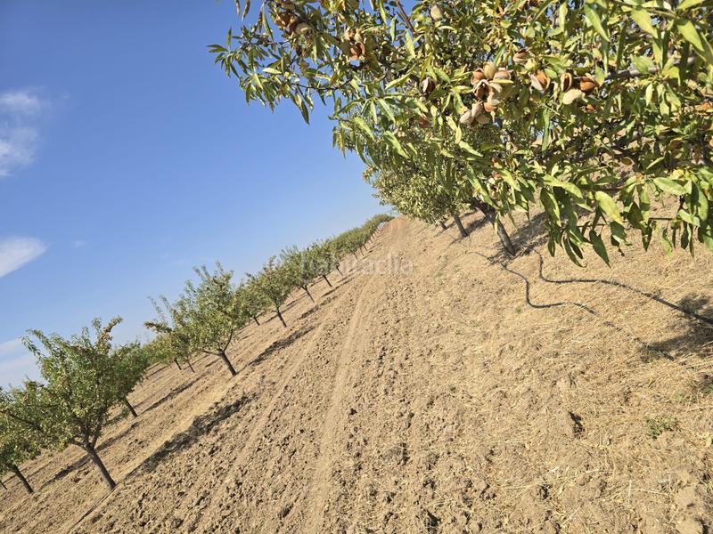 Foto e79f58e8-61b1-4ecf-9f73-b857d406658b. Finca rústica terreno en venta ( toledo) en Recas