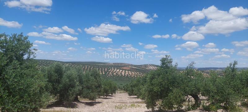 Foto 09f276c7-b0ea-4ce0-8087-224099d11471. Finca rústica en San Francisco Lucena