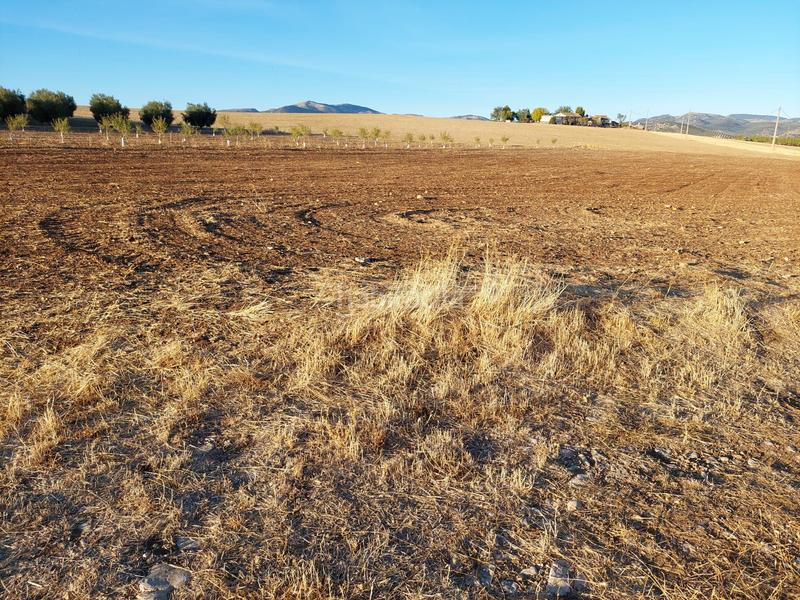 Foto 2881ebf4-d0b2-4c8a-9d28-ad6211a4ce33. Fondo rustico in Alcalá la Real