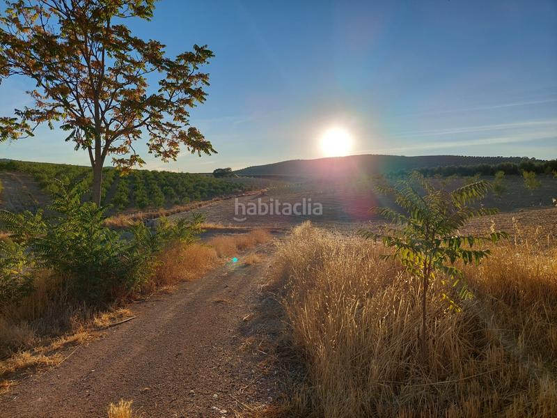 Foto 2df3b891-b906-4a38-8b02-c2251d29dd44. Fondo rustico in Alcalá la Real
