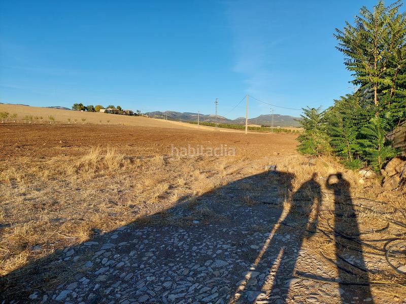 Foto 5eb396c3-abf9-4b89-8d0c-bc066a001cc6. Fondo rustico in Alcalá la Real