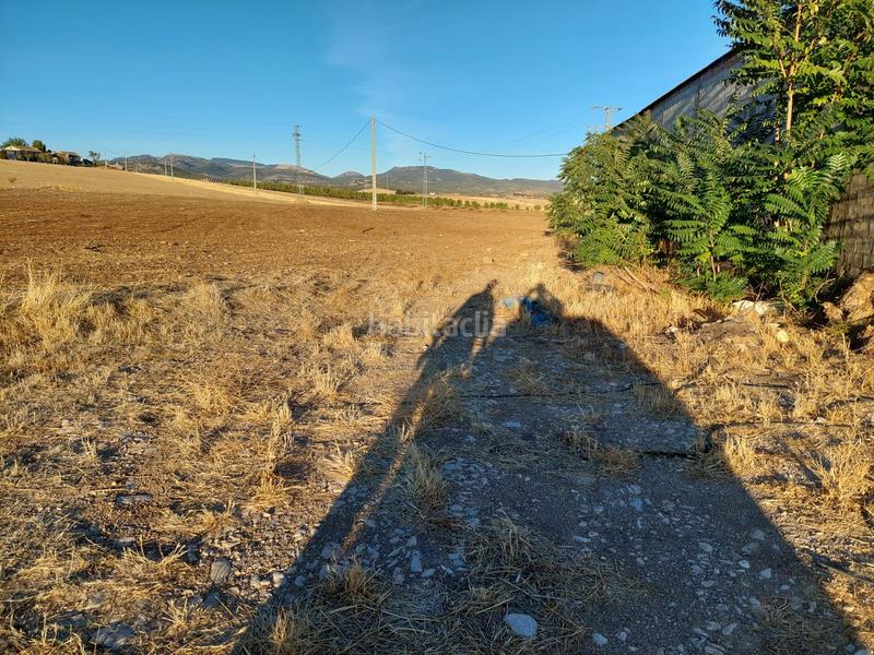 Foto 9cf7851f-d853-4cd2-8164-c0ef25764ada. Fondo rustico in Alcalá la Real