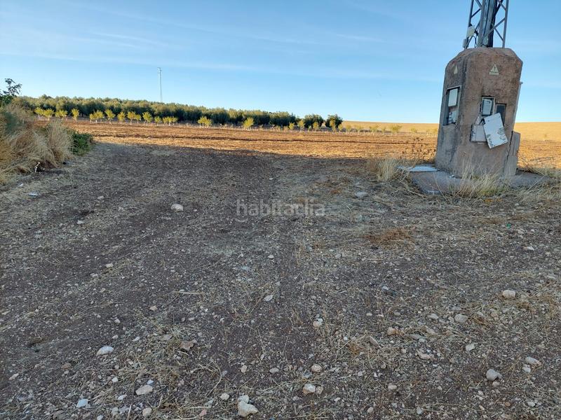 Foto b1eee6e2-7949-4a5b-a306-072bca66d01d. Fondo rustico in Alcalá la Real