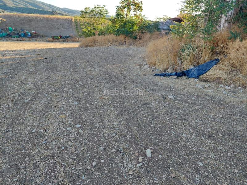 Foto d2e5d27f-34e9-44b6-a452-351441b913f0. Fondo rustico in Alcalá la Real