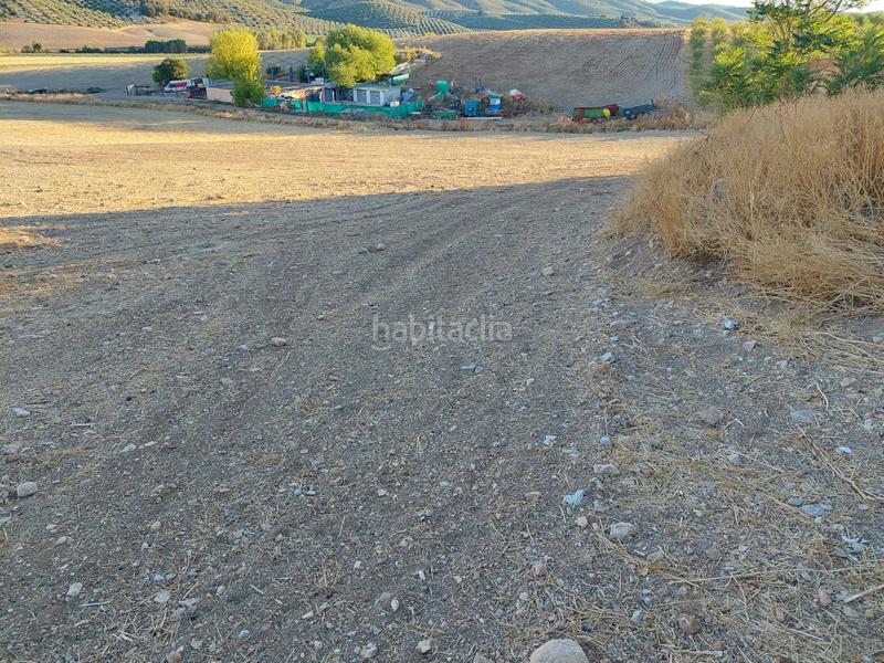 Foto 3e85a01c-a1d4-4e97-a8cd-c3e63dfc64d6. Landgut in Alcalá la Real